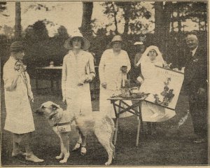 1931