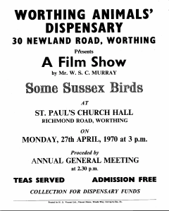 A film show flier