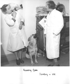 Miss Allard (Assistant/Secretary), Mrs Chapman (Veterinary Surgeon) and friends 